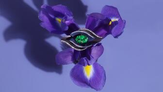 Adam Neeley Dali Garden Collection Eyris Ring