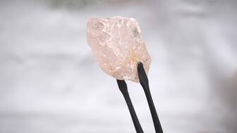 Lulo Rose pink diamond