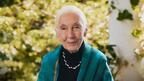 Jane Goodall Brilliant Earth campaign