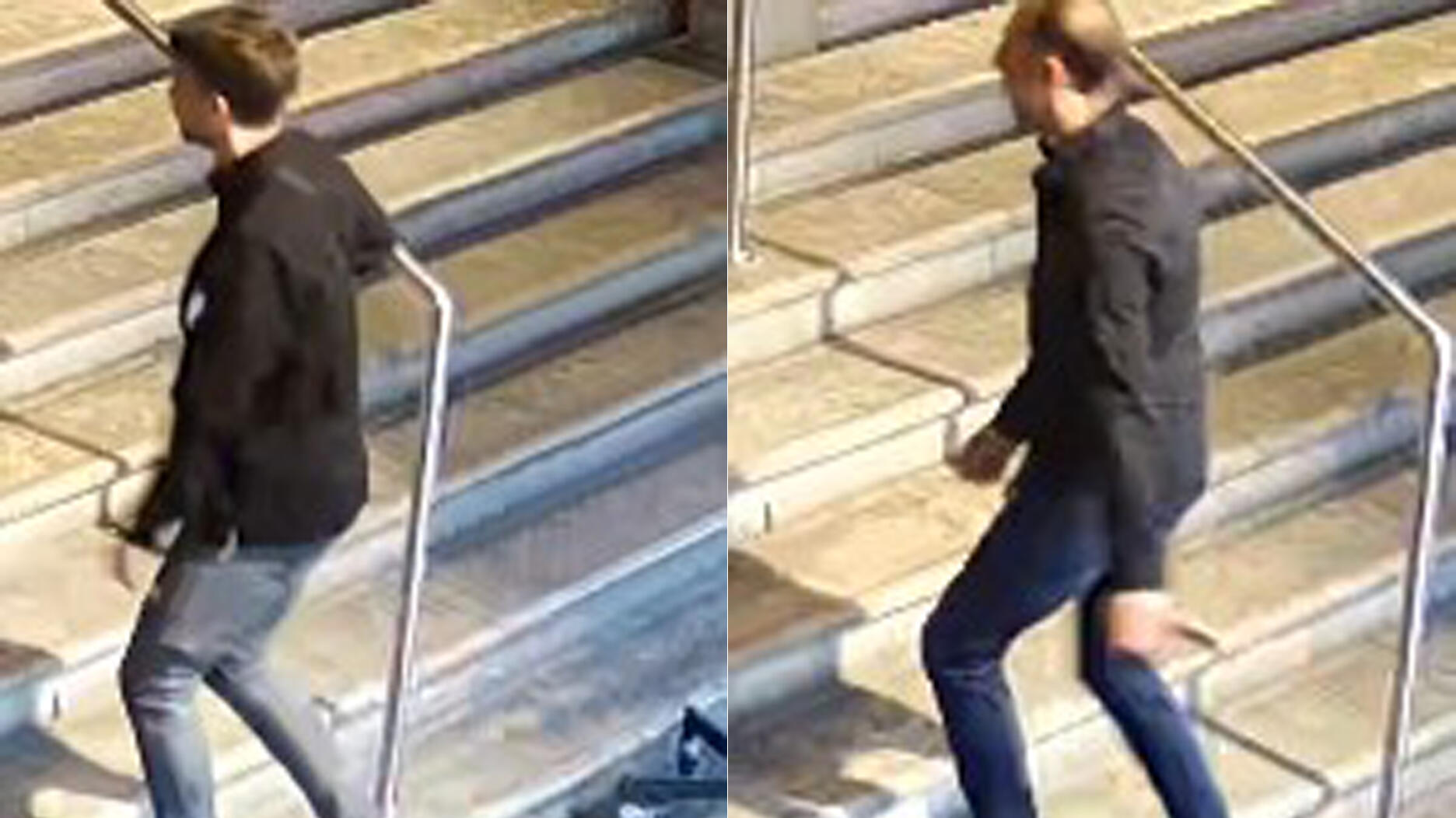 Vienna museum necklace theft suspect
