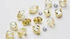 White and yellow rough diamonds from the Ekati Diamond Mine 