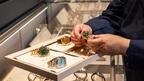 The 1916 Company’s 2026 “Coast to Coast Roadshow,” its second edition, will feature more than 200 Rolex Certified Pre-Owned watches with guided walkthroughs, expert conversations, and private appointments available at each stop. The 1916 Company Coast to Coast Roadshow