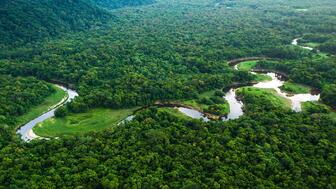 An aerial view of the Amazon rainforest. Initiatives in Art and Culture is hosting its 16th annual Gold and Diamond Conference this week, which will include a session on artisan and small-scale gold mining in the Amazon Basin. Aerial view of Amazon