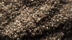 Gahcho Kue rough diamonds
